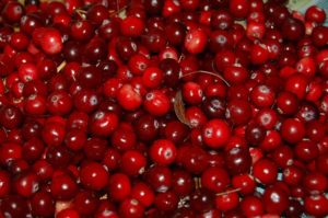 Les canneberges ou cranberry, de puissants alliés anti oxydants