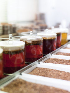 rooibos fermentation